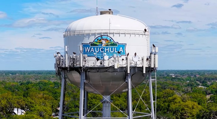 FDOT District One's next installment of "Beyond the Orange Cones, The Story Behind the Build"